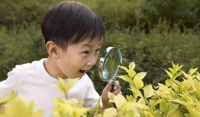 小男孩儿|老师让画自家宠物,5岁儿子画完却被批评,宝妈拿出照片老师无语