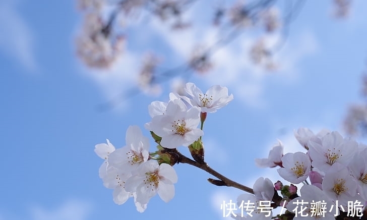 生肖|1月26日起,吉星高照,日子红火,非富即贵的生肖