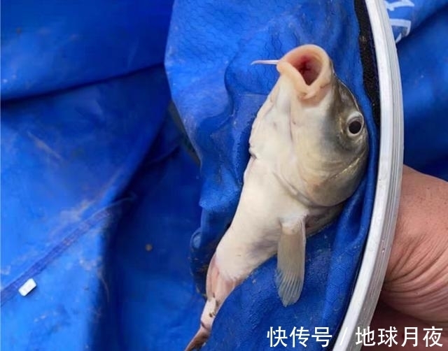 野钓屡屡空军绝非偶然,从这3个方面找原因,打破空军魔咒