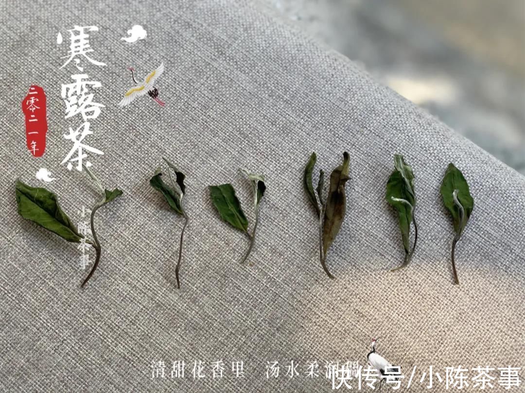 茶友$讨论：巧克力味白茶，究竟是高端茶独有的风味，还是茶掌柜的套路