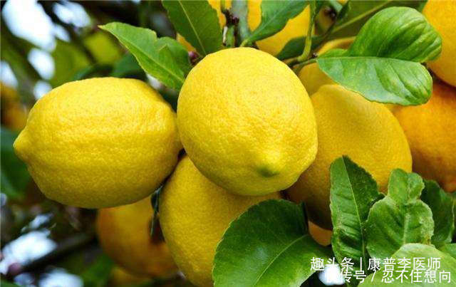 冬季养生很关键,以下食物离不开,降压降脂,改善肠胃,促进排毒