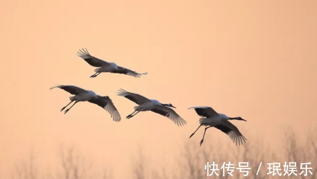 易学大师#一个人，若能悟透《易经》中的这三条“天机”，今后必成大器