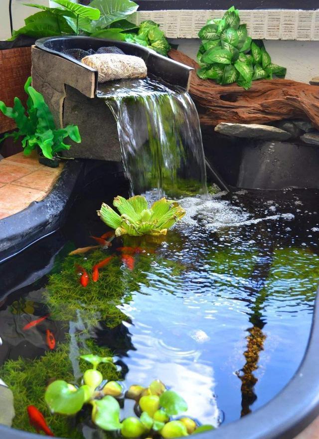 水景|如果你也拥有一个院子，面积再小也要做个水景，潺潺流水潇洒惬意