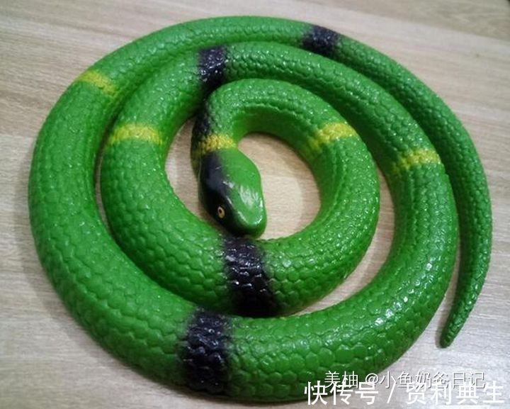 用品|有种“恨铁不成钢”叫孩子的书包,里面啥都有,父母哭笑不得