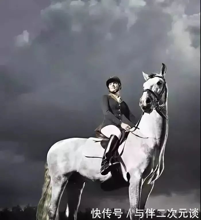 文化|贵族精神的三大支柱:文化教养、社会担当、自由灵魂