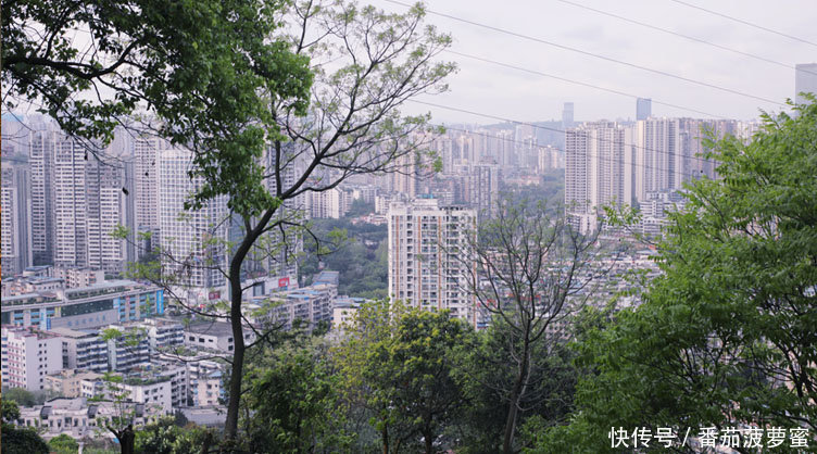 鸿恩寺一座千年的古寺庙，屹立于城市繁华一角，山环水抱，却人迹罕至