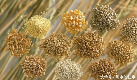 同龄人|50岁后，想要健康长寿，做到3坚持，你将比同龄人更健康长寿