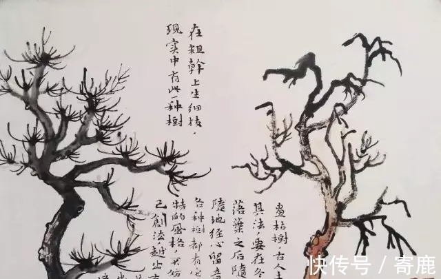 画树#国画教程|陆俨少树法