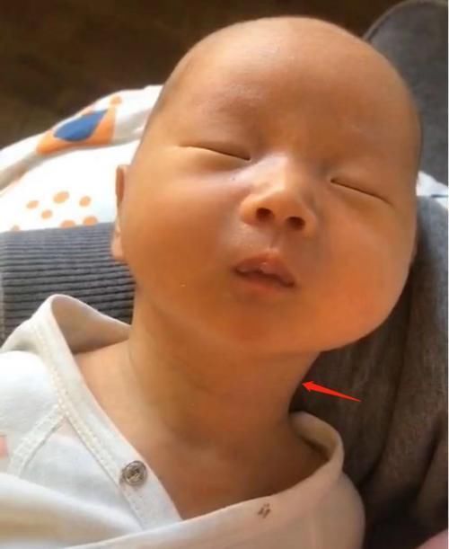 天鹅|“长颈鹿宝宝”火了,生下来就有天鹅颈,网友:以后考试方便了