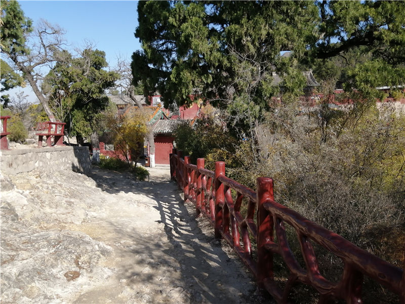 历史悠久广胜寺，美轮美奂飞虹塔，辛酸过往让人恨