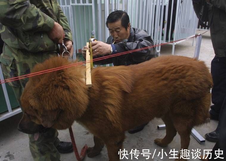 马家军|马家军教练马俊仁:跌下神坛后养狗赚千万,年过70重返俱乐部执教