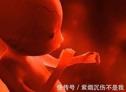 吓坏|四岁男童肚子很大,刚开始以为是肿瘤,真相吓坏所有人!