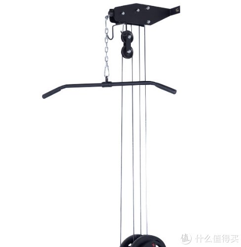 飞鸟|秋季健身滑轮系统飞鸟高低拉浅谈篇一