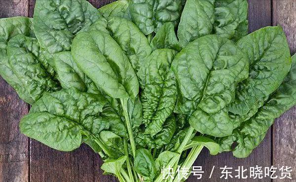 菠菜“太贵啦”，不如自己在家种，掌握4个技巧，一个冬天吃不完