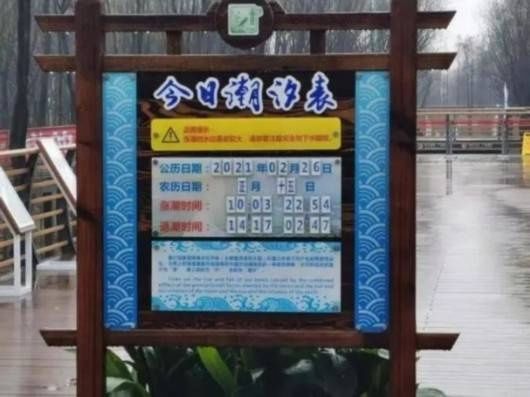 西沙湿地公园悄悄开放！遛娃拍照、听潮观鸟…