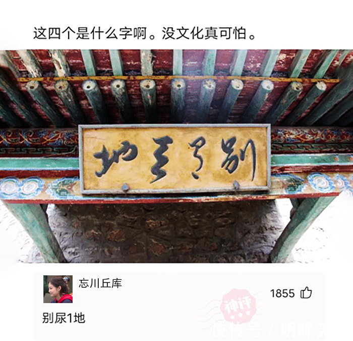 |搞笑GIF趣图：妹子拍照很赞，用这样的姿势好看的都是大长腿