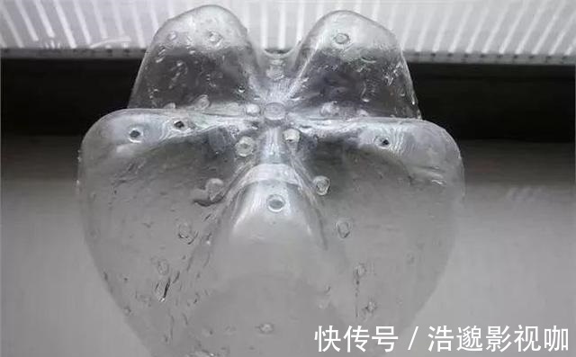 瓶子|想吃豆芽1个“雪碧瓶”就能做，只要花个豆子钱，7天冒出一桶