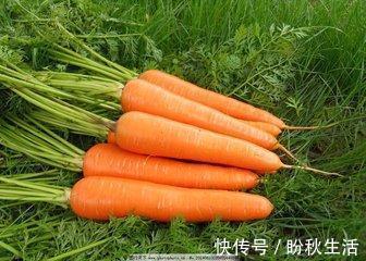 妙方|颈背部酸胀，15个治疗妙方无效，只用萝卜加绿豆，颈椎病消失不见