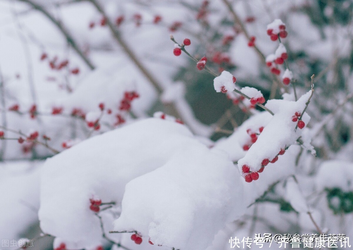  大雪|大雪节气吃什么最养生