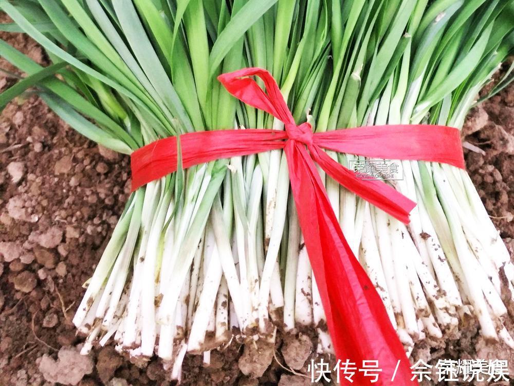 买韭菜学问多,挑宽叶还是细叶,选白根还是红根,看完涨知识了