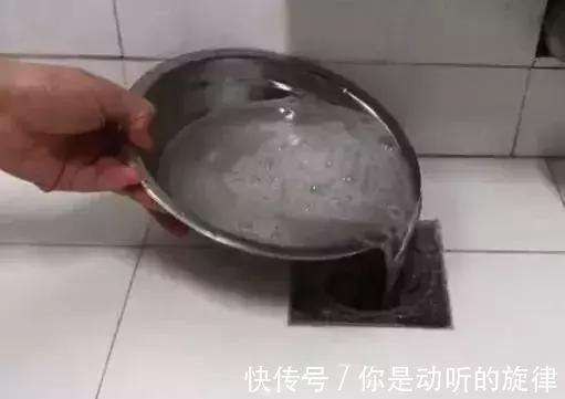 飞虫|下水道不干净怎么办用这几样东西，3年都不会再不干净了