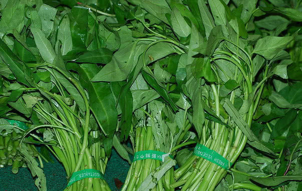 免疫力|想长寿要会吃,3种食物换着吃,排毒养颜,提高免疫力!