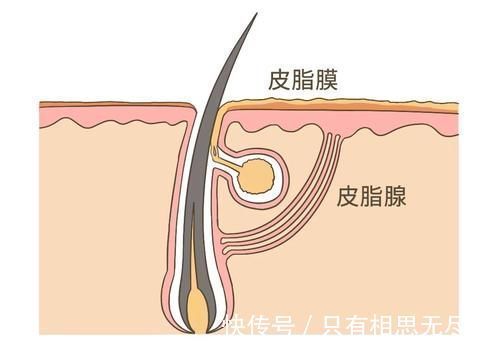 真相|洗澡要不要搓泥?多久洗一次澡?一文读懂洗澡的真相