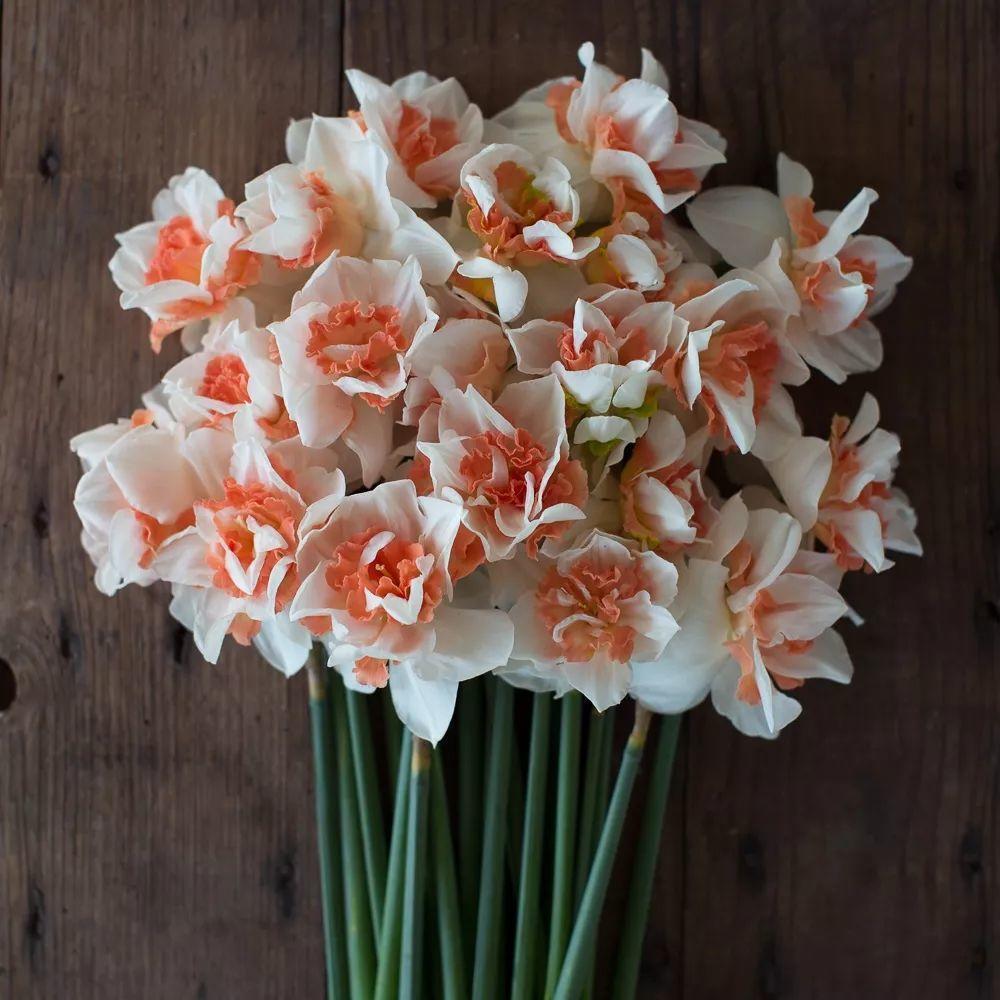 这花真能开,4个球开出28朵花,一颗就能开爆盆!