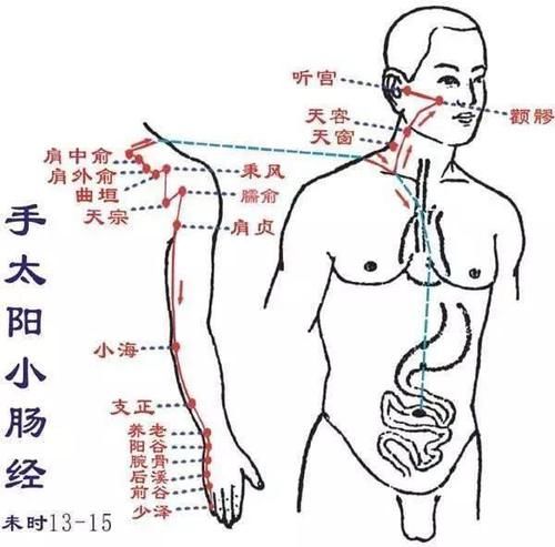 打喷|从打喷涕到癌症，只有9个步骤！原来，身体是这样防御疾病的！