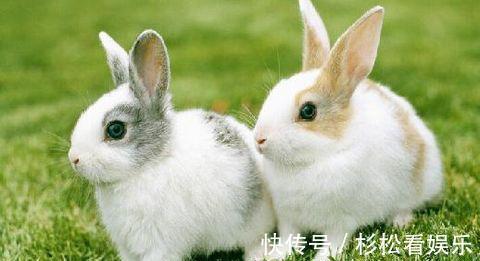 热量|4种会发胖的食物,你戒的掉吗减肥最要吃哪些食品