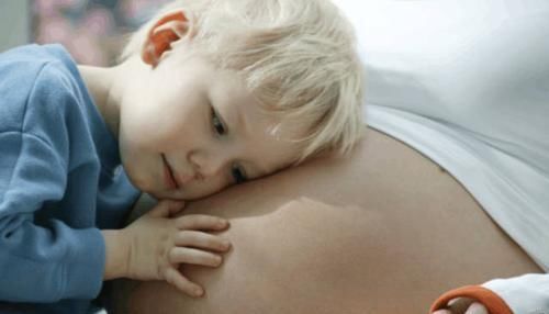 卵子|决定宝宝性别的到底在那一刻 别瞎猜, 你想知道的都在这