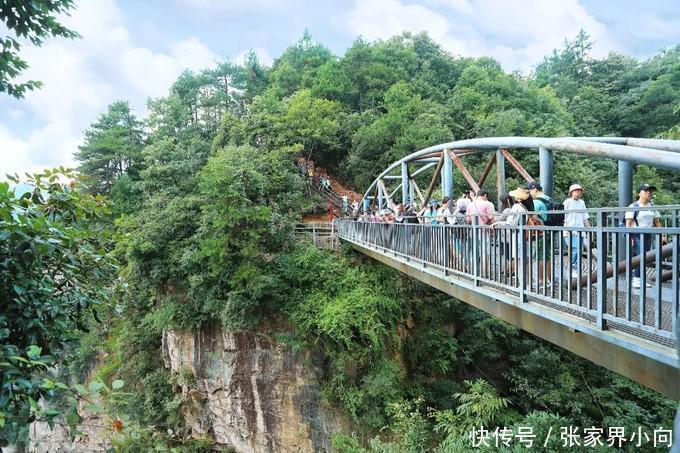 去看悬浮山（张家界高品国际旅行社）