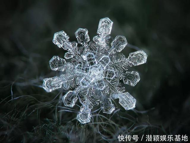 他用8个冬天拍下雪花的样子，每一朵都如此惊艳！