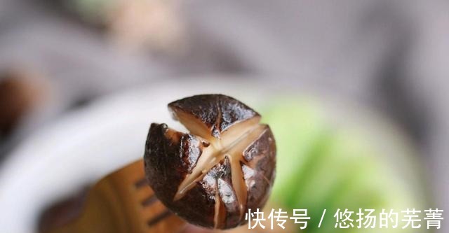 调味品|蚝油香菇油菜,别有风味,意犹未尽!