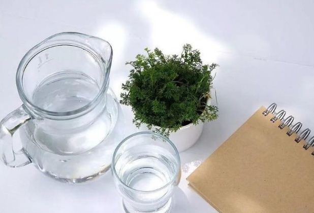 减肥|空腹时,吃三种东西,特别容易瘦,难怪别人减肥看着那么简单