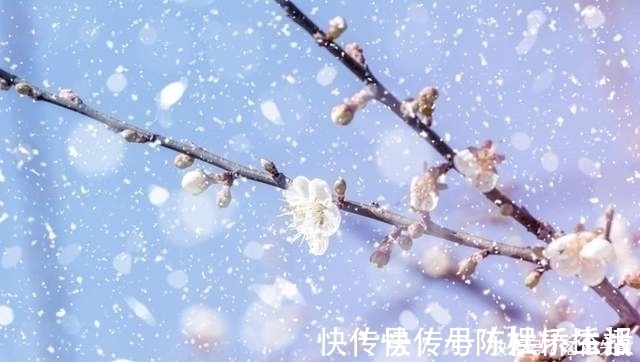 梅花|不经一番寒彻骨，怎得梅花扑鼻香，这三首梅花诗一生至少读一次