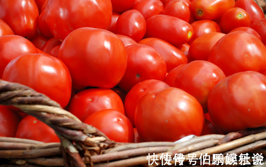 多汁|买西红柿不会挑？菜农教你5个方法，轻松挑到沙甜多汁的西红柿