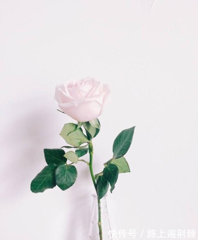 10月底 运势排行榜 这4大星座运势回归 事业爱情双丰收 全网搜 10月底 运势排行榜 这4大星座运势回归 事业爱情双丰收 全网搜