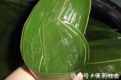 韧性|粽叶加它一煮,韧性十足不破皮,煮出来的粽子,颜色翠绿更香甜