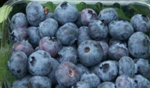 莲藕|女人怀孕后,4种“零食”尽量吃,婴儿出生后或像洋娃娃一样漂亮