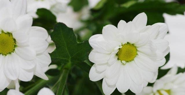 欧阳修戏对打油诗,原来诗人的世界也可以这样任性