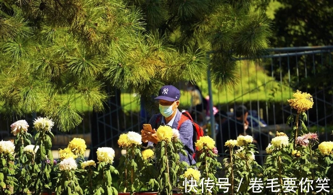 植物展&橙黄橘绿时，与您共相约