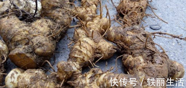 维生素b|人到中年要会吃,推荐3种食物,排毒清肠,延缓衰老,增强体质