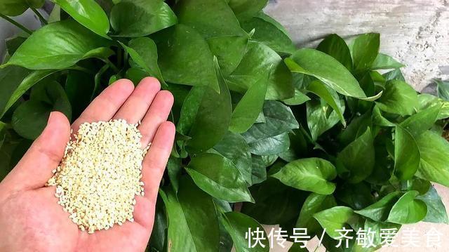 养花|有这“6种坏习惯”，是养不好花的，快来看看你有没有