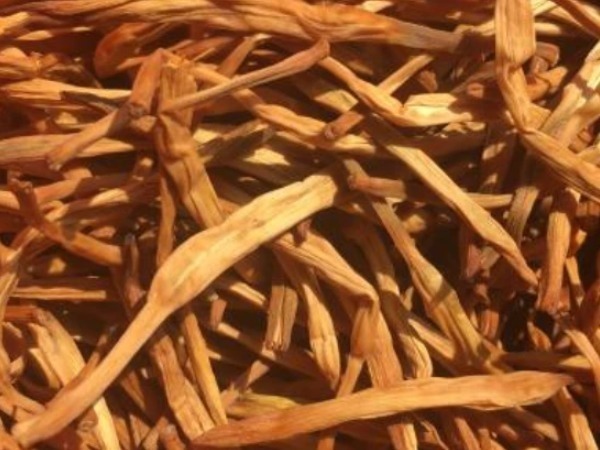 食物|再苦不能苦了孩子!让孩子多吃这4种食物,提高免疫力助健康!