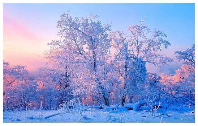 一弯月@《浣溪沙》16首初识芦花浅水边,幽香桂子著轻烟