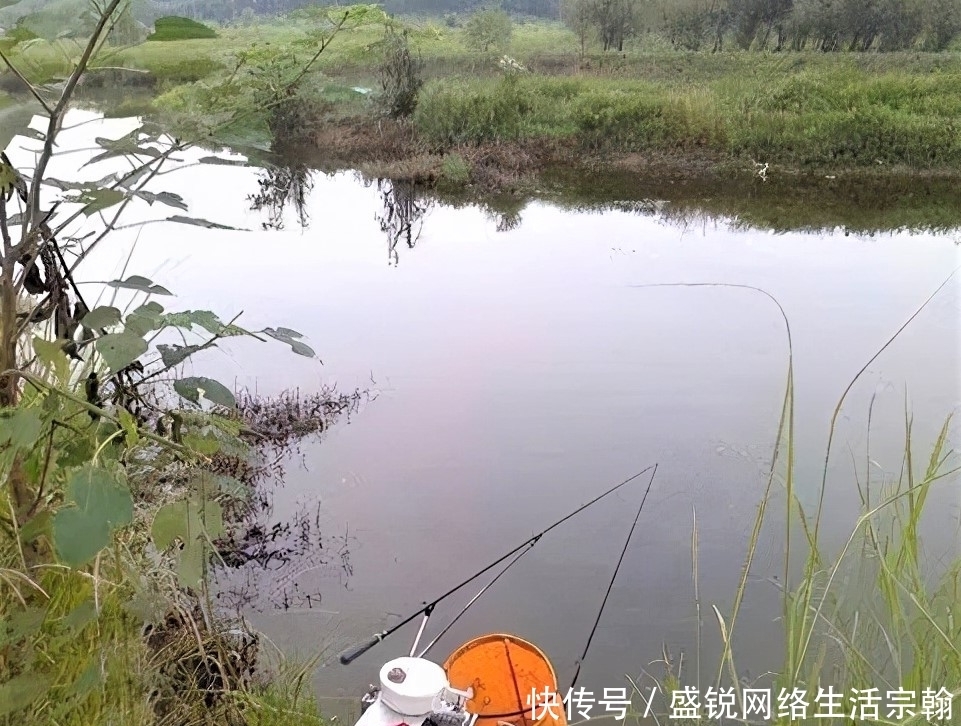 台钓白条鱼怎样“钓行程”?这些细节做好,钓白条犹如下网