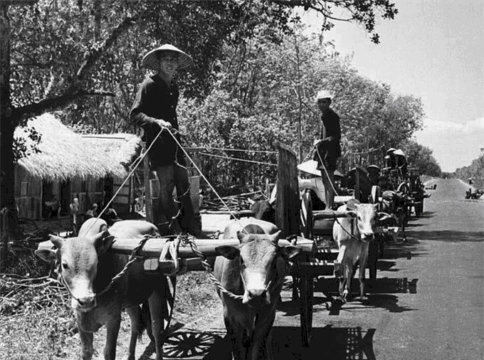 战火|五十年代起战火交加的越南，北越一美女战士获得一级抗战勋章