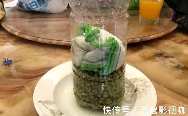 瓶子|想吃豆芽1个“雪碧瓶”就能做，只要花个豆子钱，7天冒出一桶