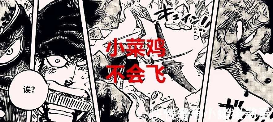 马尔科|海贼王1027话:索隆的战斗变得又臭又长,辅助他的人又会是谁呢?